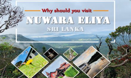 Nuwara Eliya – The Flowery Tourist Destination in Sri Lanka 2019